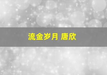 流金岁月 唐欣